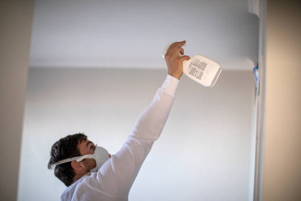 Best Mold Removal Specialists  in Pinckneyvle, IL